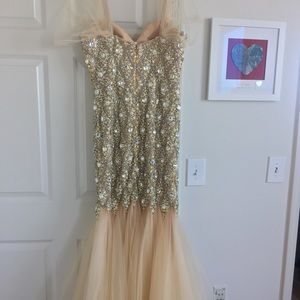 Terani Couture formal dress